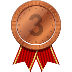 Bronze Medal